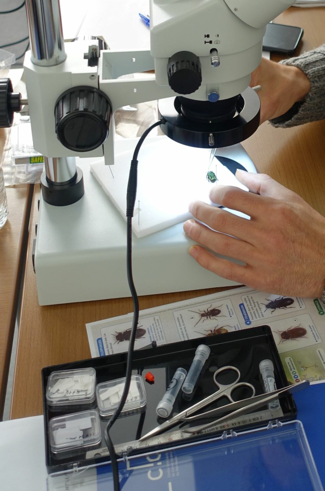 Loupe binoculaire