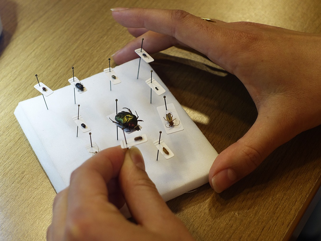 Formation Croqueurs de patrimoine au CICRP