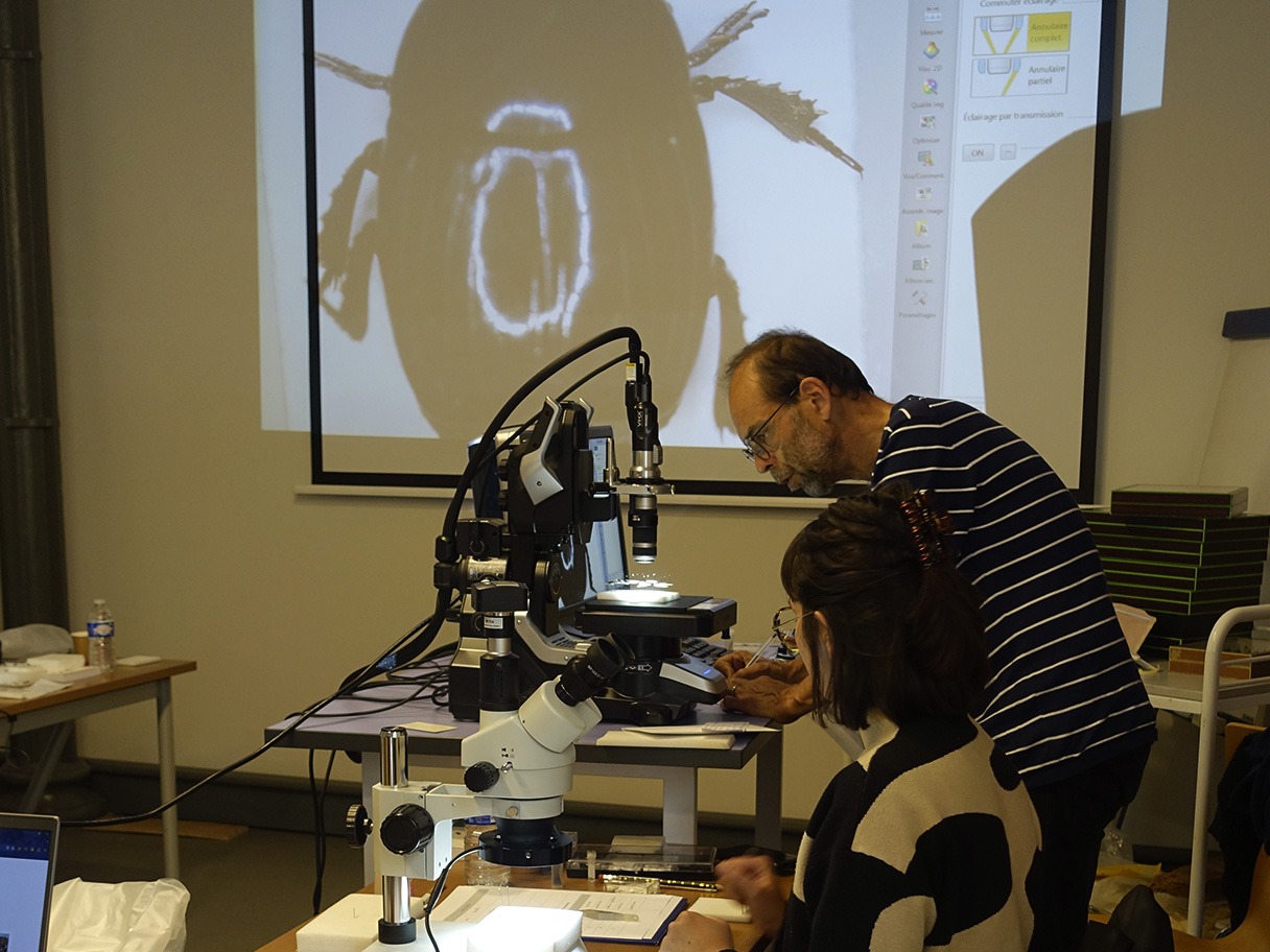 Formation Croqueurs de patrimoine au CICRP