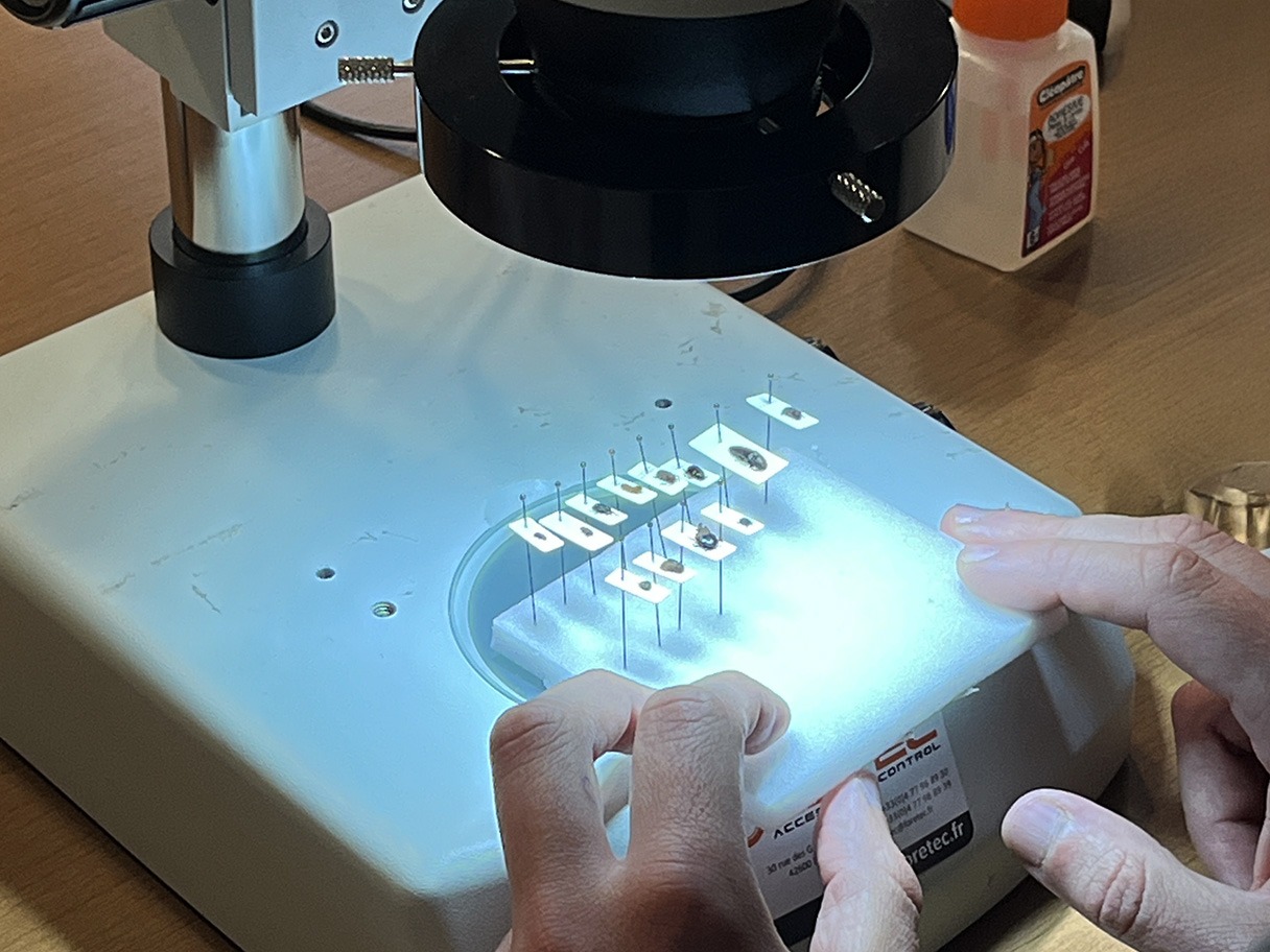 Formation Croqueurs de patrimoine au CICRP