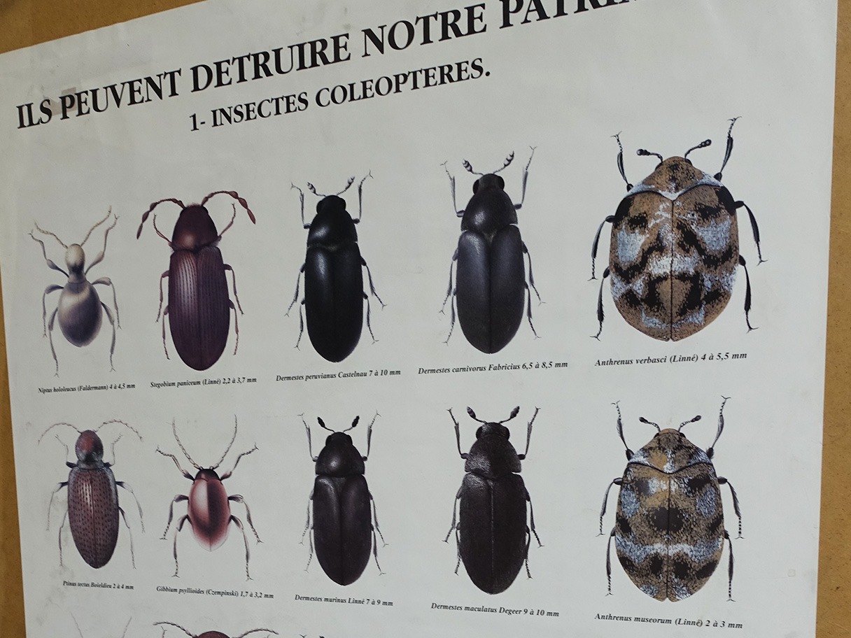 Formation Croqueurs de patrimoine au CICRP