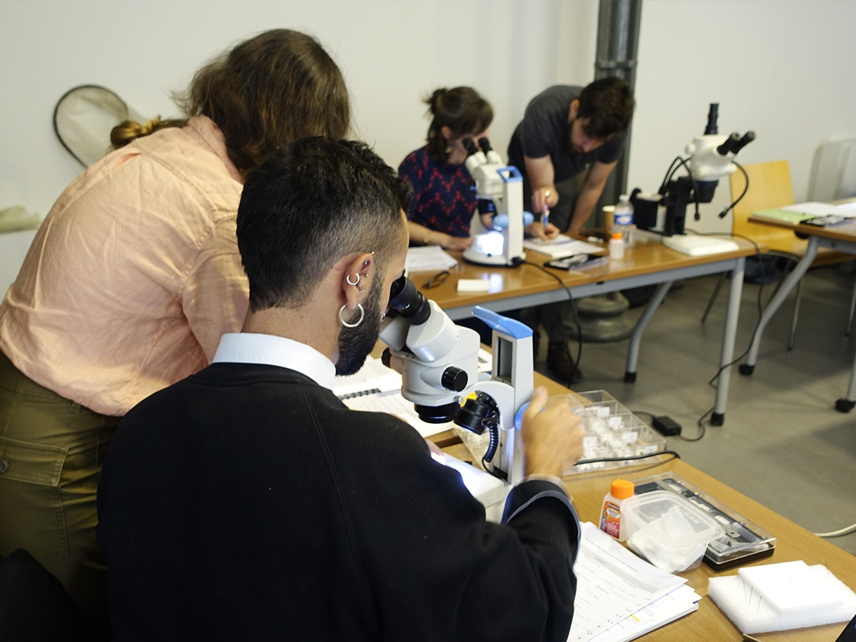 Formation Croqueurs de patrimoine au CICRP