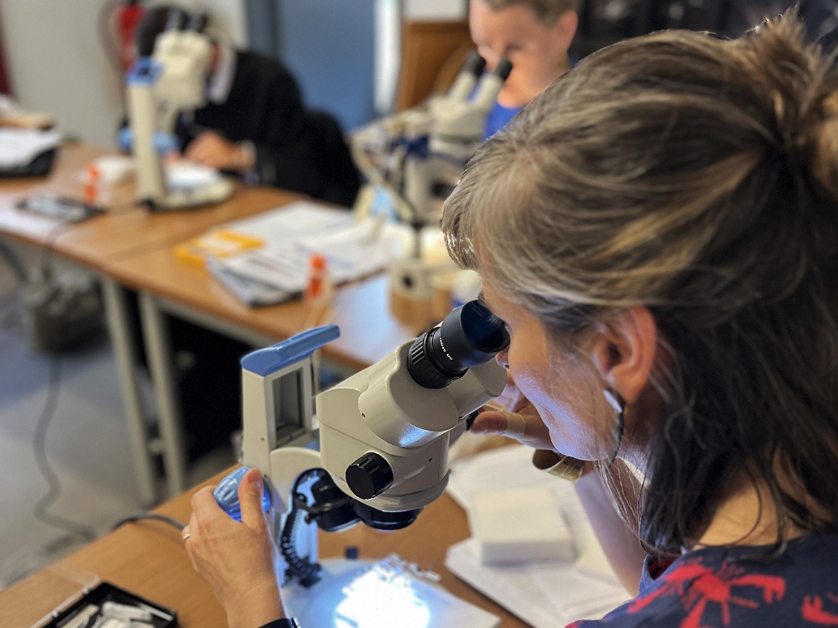 Formation Croqueurs de patrimoine au CICRP