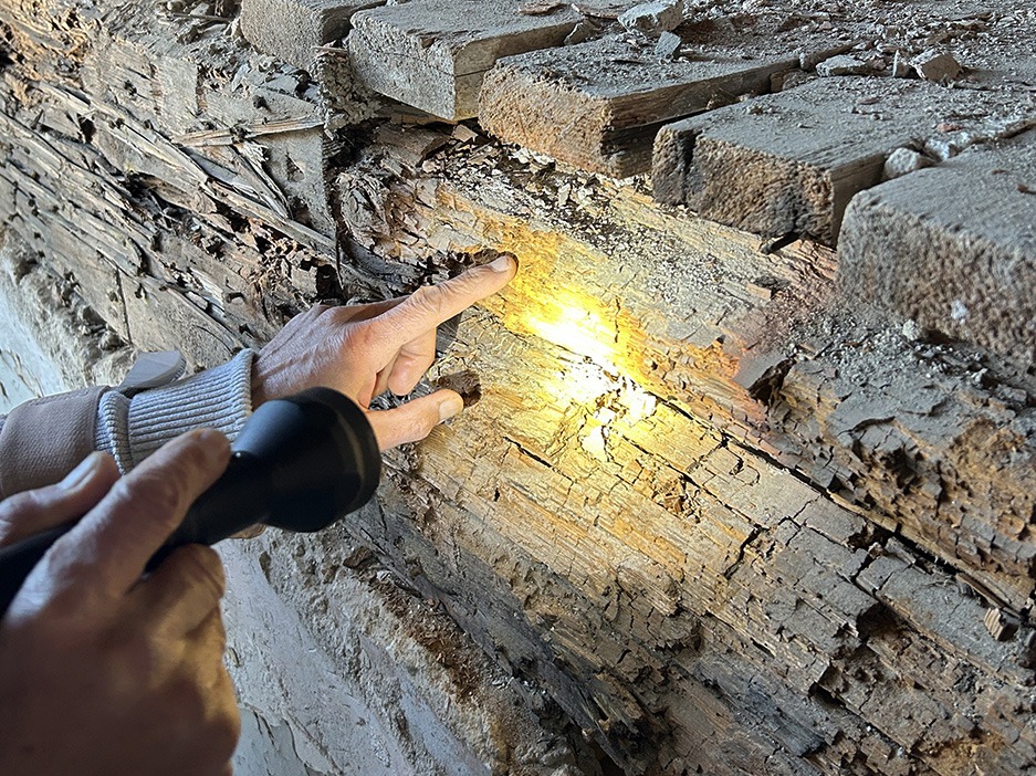 Fiche Infestation - Inspection