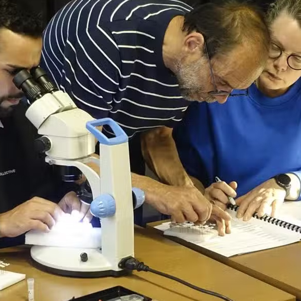 Article Fabien Fohrer