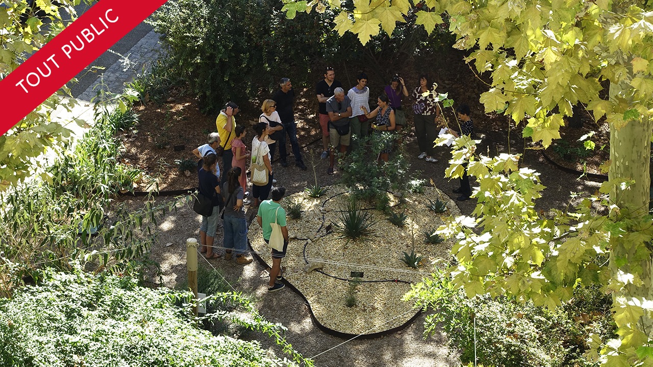 Visite du jardin au CICRP