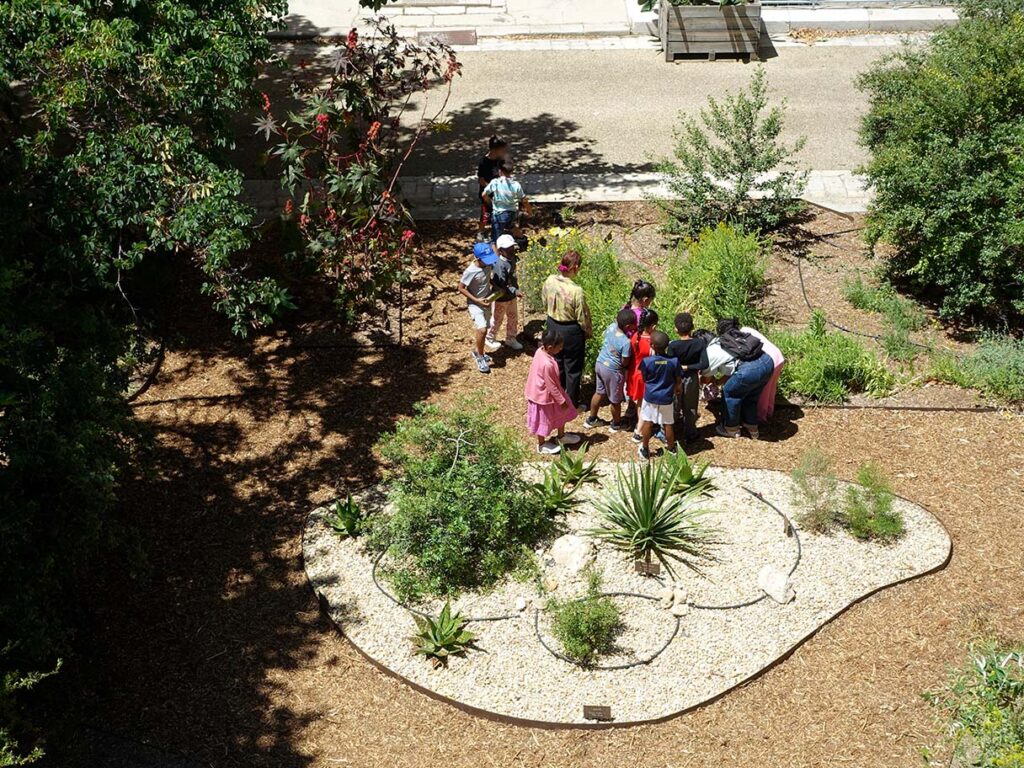 Elèves dans le jardin du CICRP