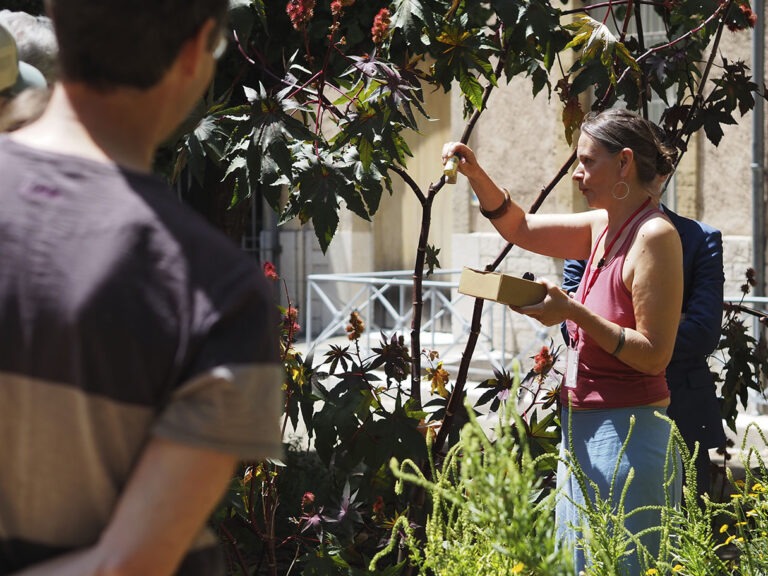 Rendez-vous aux jardins